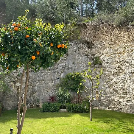 Apartamento Loft Sauna Balneotherapie Beaucaire (Gard)