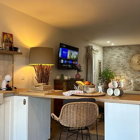 Loft Sauna Balnéothérapie Appartement Beaucaire (Gard)