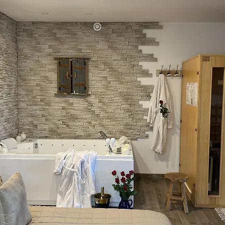 Apartment Loft Sauna Balneotherapie Beaucaire (Gard)