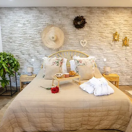 Apartment Loft Sauna Balneotherapie Beaucaire (Gard)